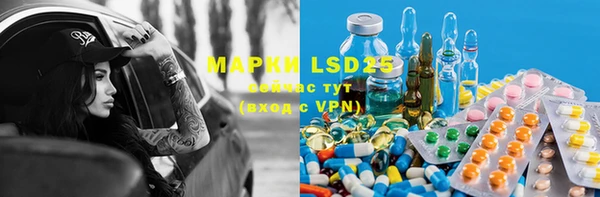 PSILOCYBIN Бронницы