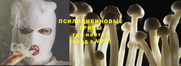 крисы Бородино