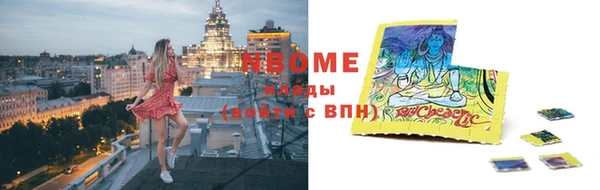 крисы Бородино