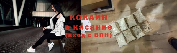 крисы Бородино