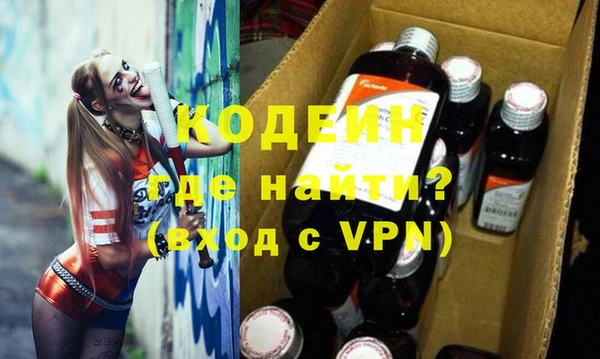 крисы Бородино