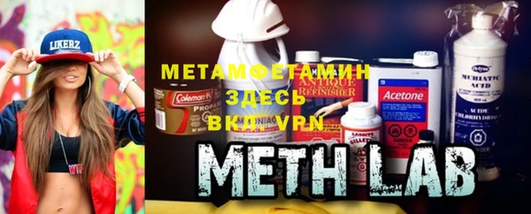 крисы Бородино