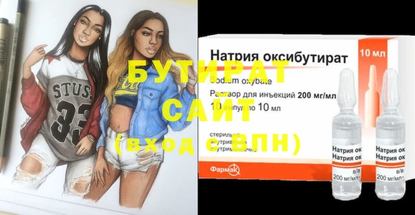 крисы Бородино