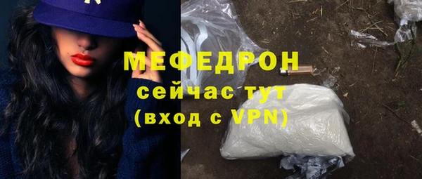 крисы Бородино