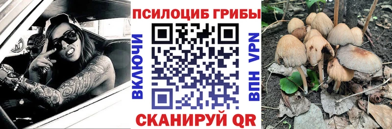 Псилоцибиновые грибы мицелий  сколько стоит  Канск 